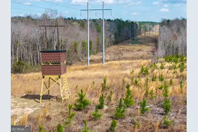 3 Laurel Branch Road, Gordon, GA 31031 - Photo 6