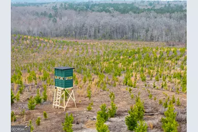 3 Laurel Branch Road, Gordon, GA 31031 - Photo 10