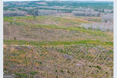 3 Laurel Branch Road, Gordon, GA 31031 - Photo 26