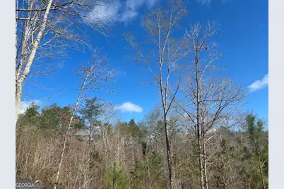 0 County Road 709, Valley Head, AL 35989 - Photo 28