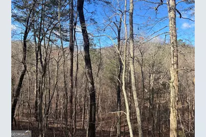 0 County Road 709, Valley Head, AL 35989 - Photo 22