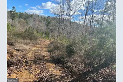 0 County Road 709, Valley Head, AL 35989 - Photo 30