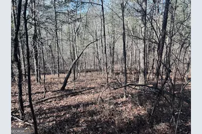 0 County Road 709, Valley Head, AL 35989 - Photo 18