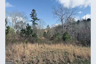 0 County Road 709, Valley Head, AL 35989 - Photo 6