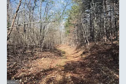 0 County Road 709, Valley Head, AL 35989 - Photo 14