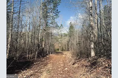 0 County Road 709, Valley Head, AL 35989 - Photo 8