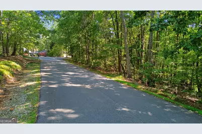 0 Rome Beauty Lane #LOT 1109, Clarkesville, GA 30523 - Photo 12