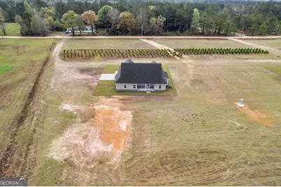 795 S.T. Morris Road NE, Ludowici, GA 31316 - Photo 36