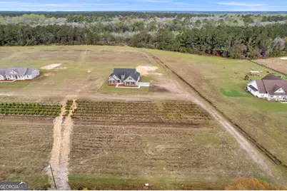 795 S.T. Morris Road NE, Ludowici, GA 31316 - Photo 4