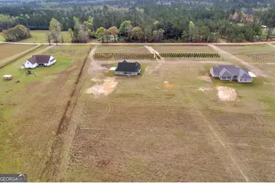 795 S.T. Morris Road NE, Ludowici, GA 31316 - Photo 38