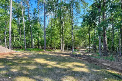 1199 Pawnee Drive, Lincolnton, GA 30817 - Photo 64