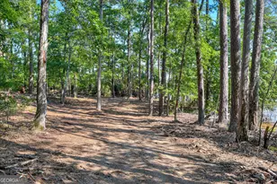 1199 Pawnee Dr, Lincolnton, GA 30817 - Photo 68