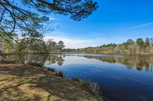 167 Lambert Lake Estates, Box Springs, GA 31801 - Photo 64