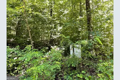 Lot 32 Fodder Creek Mill Drive, Hiawassee, GA 30546 - Photo 1