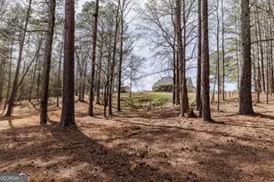 12 Black Thorn Rd, Colbert, GA 30628 - Photo 62