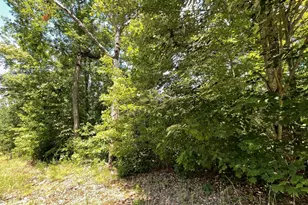 Lot 37 Fodder Creek Mill Dr, Hiawassee, GA 30546 - Photo 1