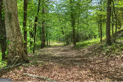4081 Whitepath Road, Ellijay, GA 30540 - Photo 58