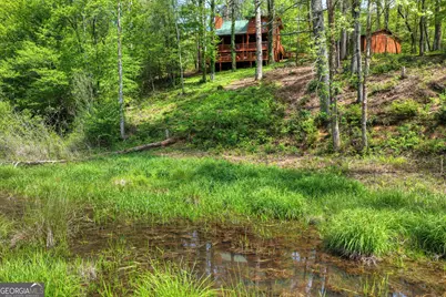4081 Whitepath Road, Ellijay, GA 30540 - Photo 42