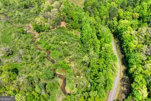 4081 Whitepath Rd, Ellijay, GA 30540 - Photo 54