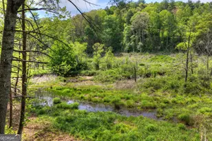 4081 Whitepath Rd, Ellijay, GA 30540 - Photo 40