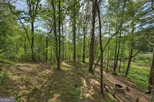 4081 Whitepath Rd, Ellijay, GA 30540 - Photo 68
