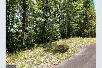 Lot 20 Fodder Creek Mill Drive, Hiawassee, GA 30546 - Photo 6