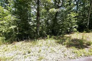 Lot 20 Fodder Creek Mill Dr, Hiawassee, GA 30546 - Photo 1