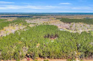 5200 Old River Rd S, Brooklet, GA 30415 - Photo 48