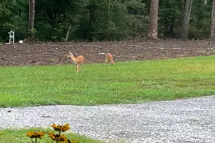 1596 Kirk-Langford Rd, Danielsville, GA 30633 - Photo 6