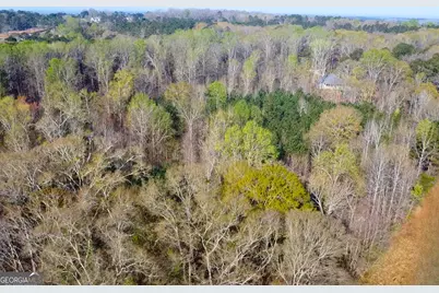 44 Aileron Lane, Williamson, GA 30292 - Photo 4