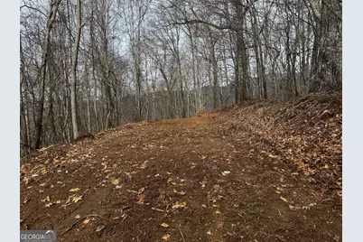 20 Acres Burnt Leaf Lane, Hayesville, NC 28904 - Photo 4