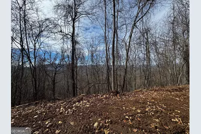 20 Acres Burnt Leaf Lane, Hayesville, NC 28904 - Photo 6