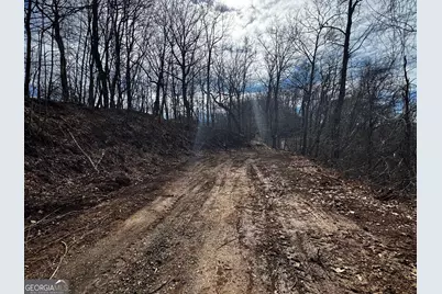 20 Acres Burnt Leaf Lane, Hayesville, NC 28904 - Photo 8