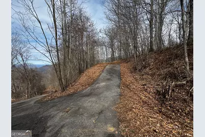 20 Acres Burnt Leaf Lane, Hayesville, NC 28904 - Photo 2