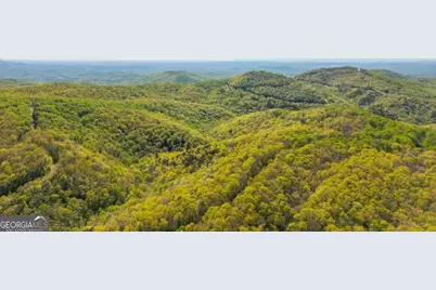 3184 Saint Andrews Way, Ellijay, GA 30536 - Photo 22