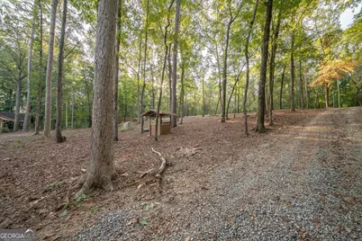 265 Dollar Road, Hamilton, GA 31811 - Photo 4