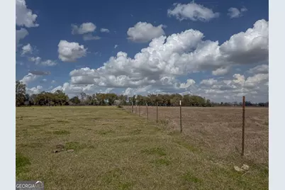 1 County Line Church Road, Colquitt, GA 39837 - Photo 4