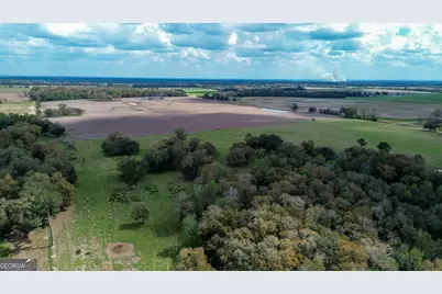 1 County Line Church Road, Colquitt, GA 39837 - Photo 1