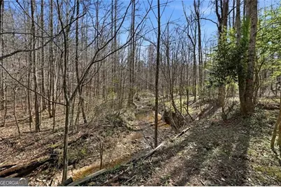 118 Jordan Lane, Talking Rock, GA 30175 - Photo 40