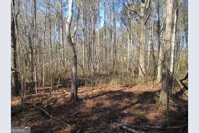 5060 Stateline Road, Bowdon, GA 30108 - Photo 2