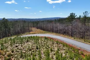 155 Shallow Water Trail, Talking Rock, GA 30175 - Photo 1