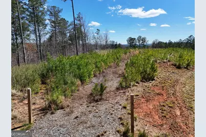 155 Shallow Water Trail, Talking Rock, GA 30175 - Photo 4