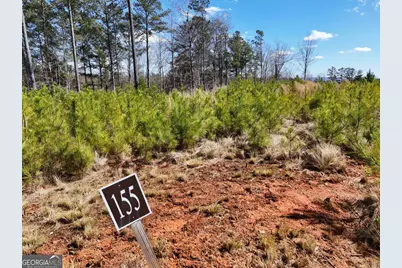 155 Shallow Water Trail, Talking Rock, GA 30175 - Photo 6