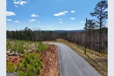 155 Shallow Water Trail, Talking Rock, GA 30175 - Photo 8