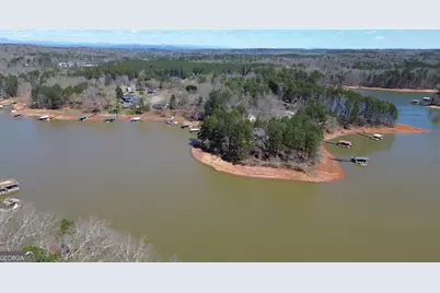 206 Goff Drive, Martin, GA 30557 - Photo 36