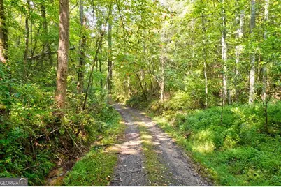 312 Charles Road, Ellijay, GA 30540 - Photo 60