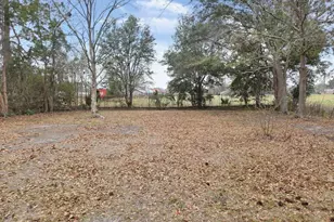188 Holmesville Rd, Baxley, GA 31513 - Photo 20