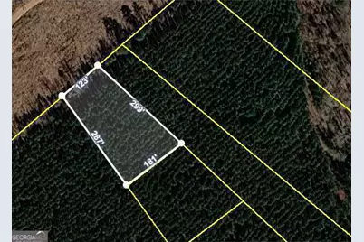 000 Lower Mill Road, Crawfordville, GA 30631 - Photo 2