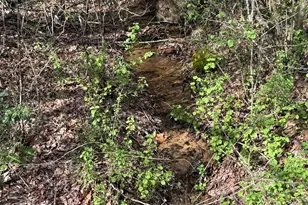 2094 Pinnacle Dr, Clayton, GA 30525 - Photo 4