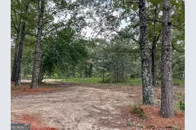 62 Brannon Montgomery Road, Mauk, GA 31058 - Photo 28